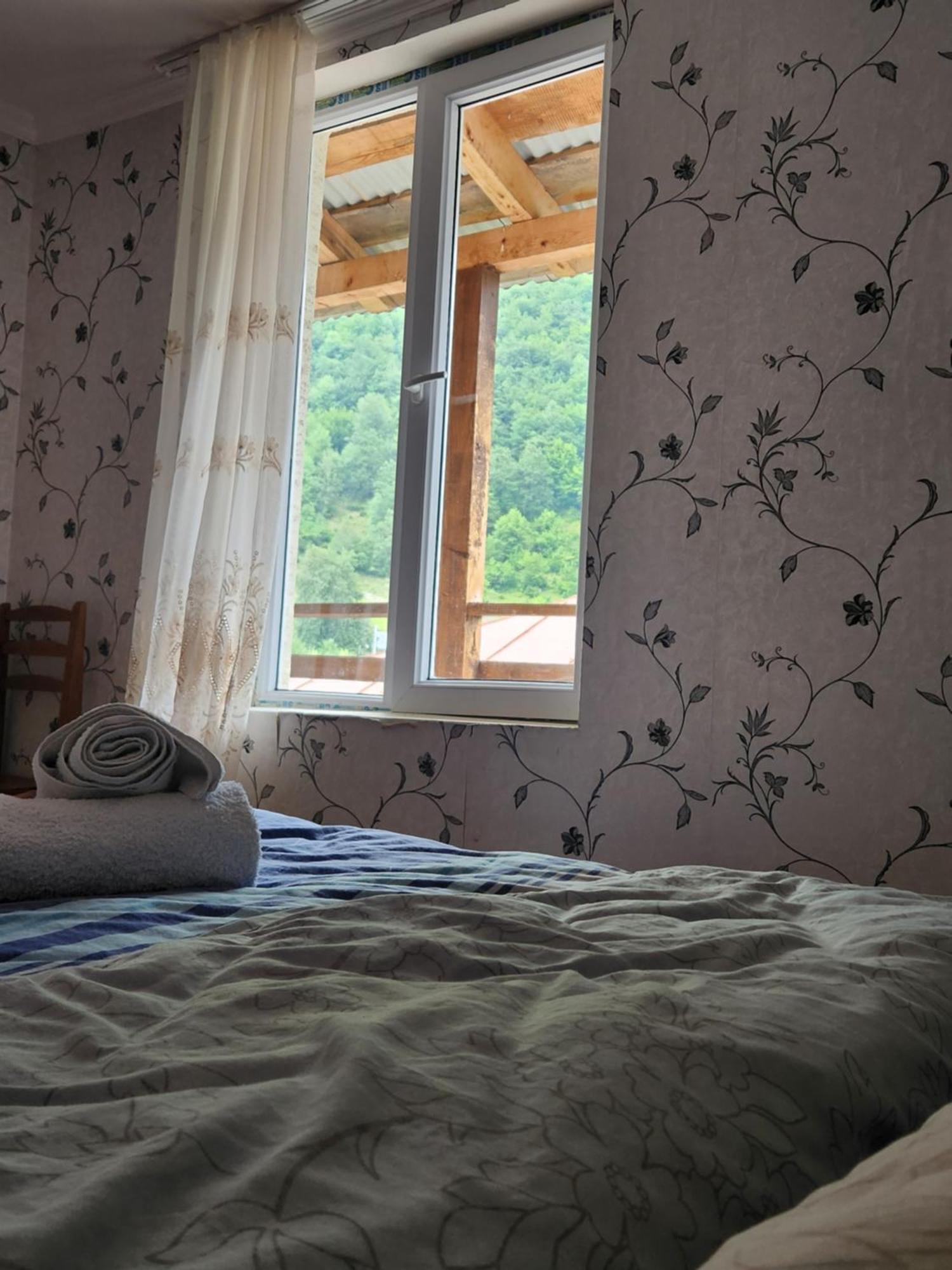 Iason Guest House In Mazeri 梅斯蒂亚 客房 照片
